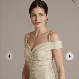 Formal dress from David’s Bridal / worn once to my son’s wedding.